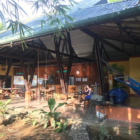 Luminosa Uvita Hostel Dış mekan fotoğraf