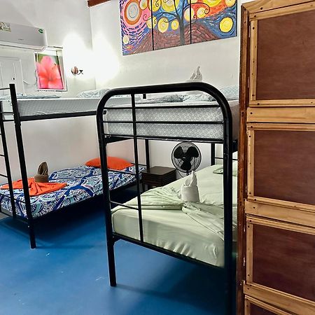 Luminosa Uvita Hostel Dış mekan fotoğraf