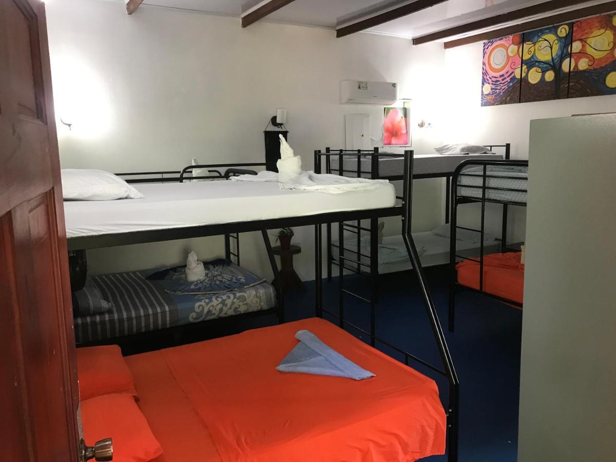 Luminosa Uvita Hostel Dış mekan fotoğraf