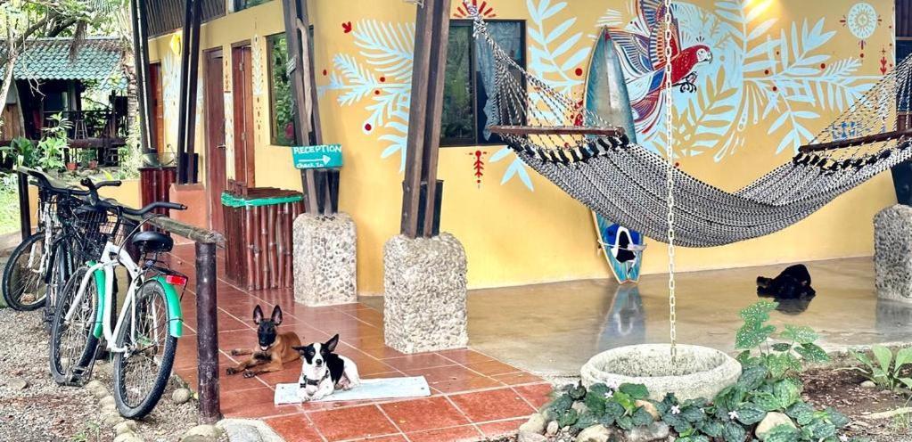 Luminosa Uvita Hostel Dış mekan fotoğraf