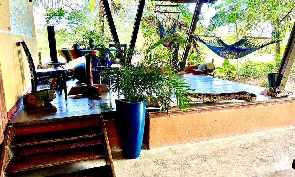 Luminosa Uvita Hostel Dış mekan fotoğraf