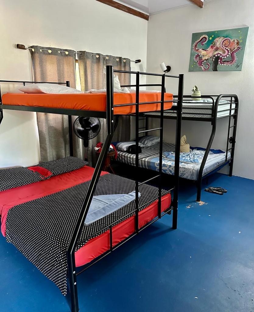 Luminosa Uvita Hostel Dış mekan fotoğraf
