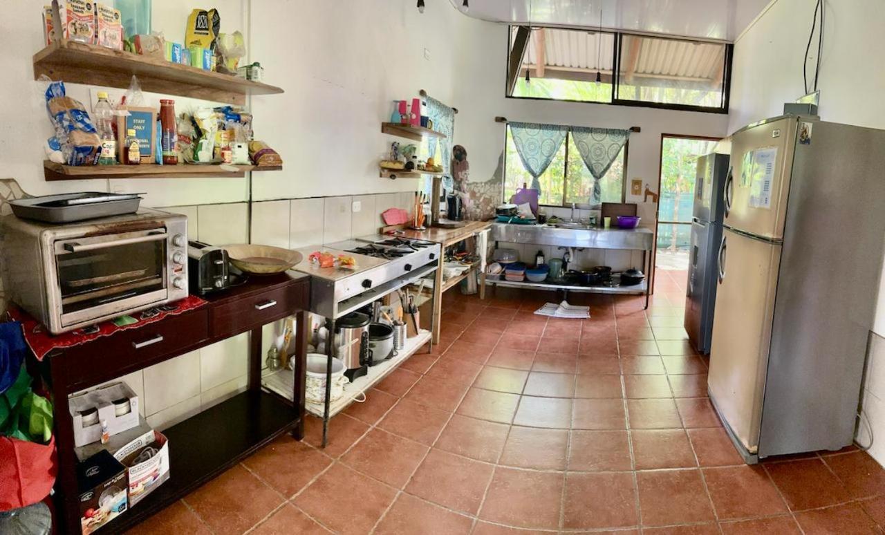 Luminosa Uvita Hostel Dış mekan fotoğraf